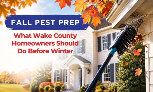 Fall leaves around a Wake County home with a cobweb near the roofline during fall pest preparation
